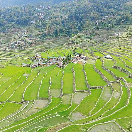 Banaue Transient House Bed And Breakfast Zewnętrze zdjęcie