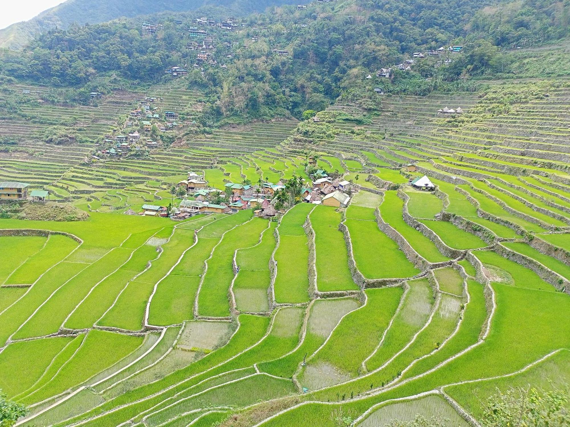Banaue Transient House Bed And Breakfast Zewnętrze zdjęcie